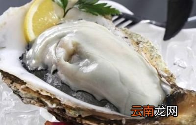 生蚝的功效与作用