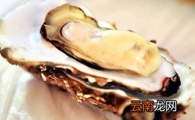 生蚝的功效与作用