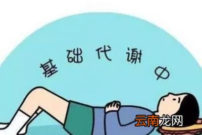 怎么调整新陈代谢呢