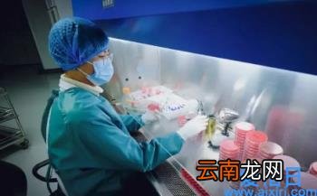 大学生清明返沪还用不用隔离14天 2022年上海大学生清明返沪要提供核酸证明吗