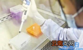 大学生清明返沪还用不用隔离14天 2022年上海大学生清明返沪要提供核酸证明吗