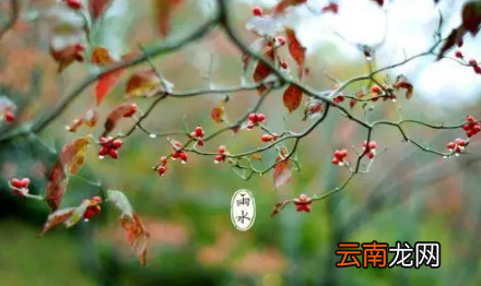 雨水节气可以种地吗 2022年雨水节气降雨多吗