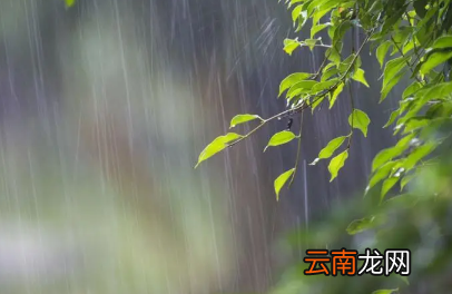 雨水节气可以种地吗 2022年雨水节气降雨多吗