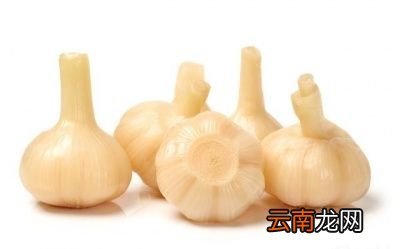 糖醋大蒜的腌制方法
