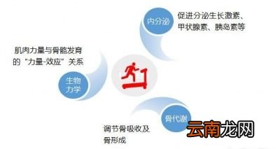哪些运动有利于孩子长高
