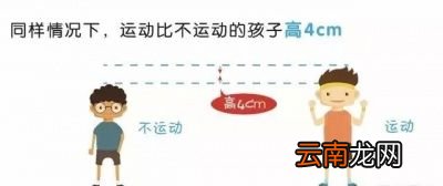 这里推荐一些有利于长高的运动