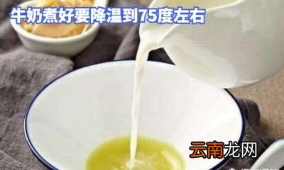 姜汁撞奶的做法是怎样的
