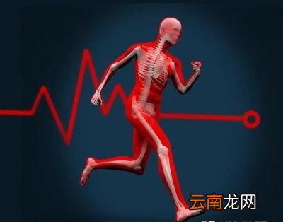 跑步多久体重会下降