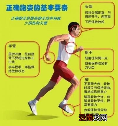 跑步多久体重会下降