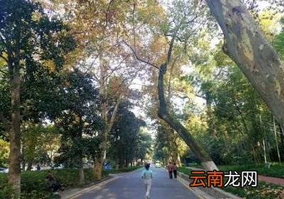 会有多种原因造成跑步后体重没有变化