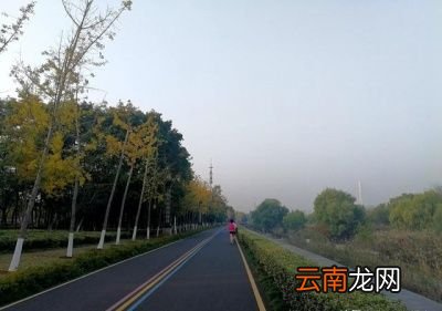 会有多种原因造成跑步后体重没有变化