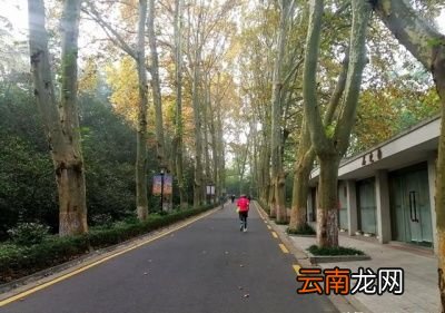 会有多种原因造成跑步后体重没有变化