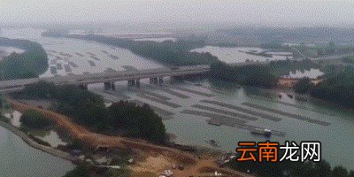 一 食用鱼养哪些种类比较好