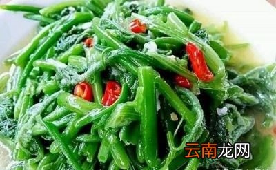 女人常吃南瓜藤坚持一个月对身体有哪些好处