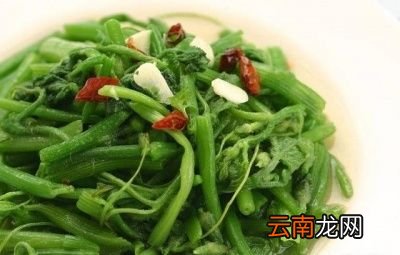 女人常吃南瓜藤坚持一个月对身体有哪些好处