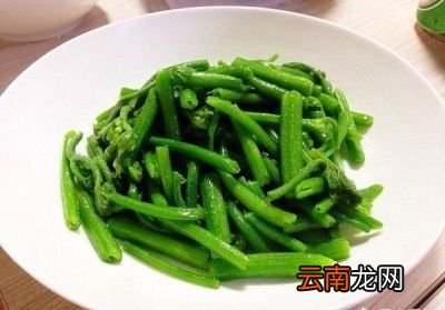 常吃南瓜藤对于身体有何好处