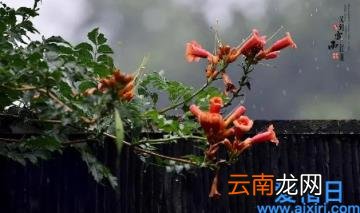 回南天是不是全国都有 2022年苏州会有回南天吗