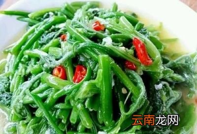 此外南瓜藤经常吃的话有什么好处呢