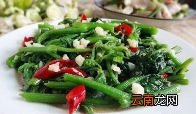 南瓜藤有什么营养价值