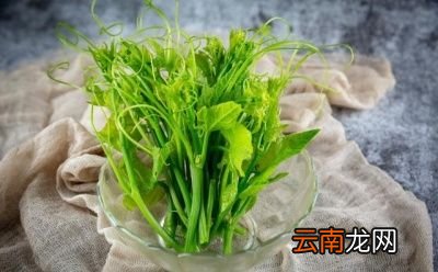 吃南瓜藤有哪些好处