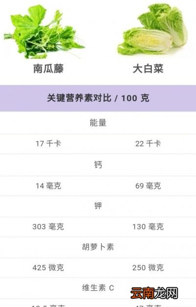 吃南瓜藤有哪些好处