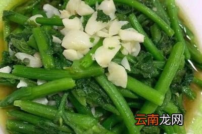 女性常吃南瓜藤身体会有什么变化