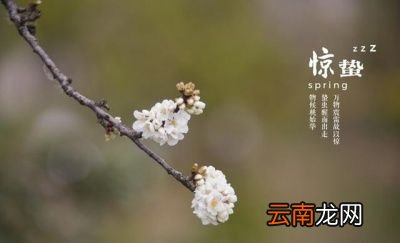 俗语“惊蛰刮北风从头到尾东”是什么意思呢
