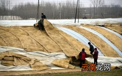 惊蛰刮风再冷多少天