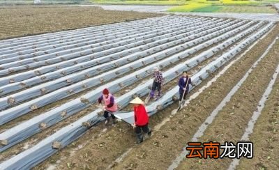 惊蛰刮风再冷多少天