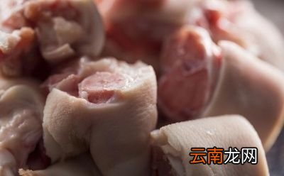 猪耳朵猪蹄猪皮都是高热量食物吗