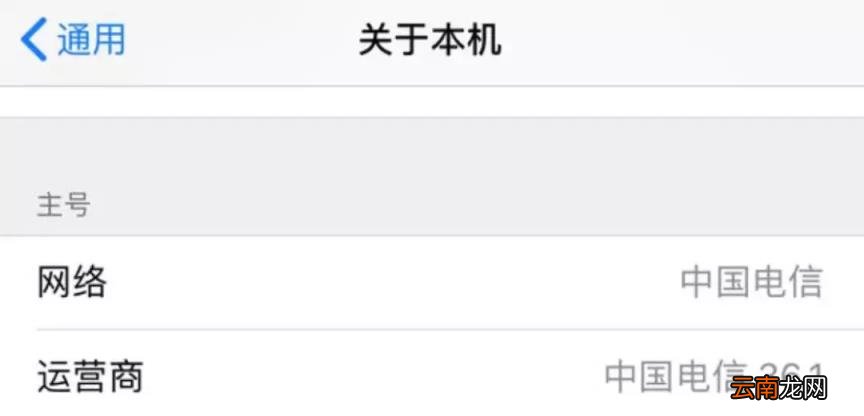 运营商设置更新怎么关闭 苹果手机运营商设置步骤