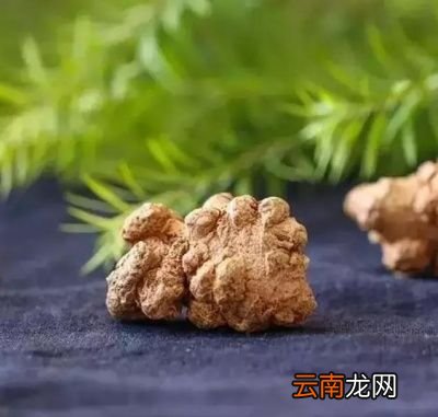 三七包治百病是真的吗