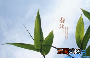春分是九九最后一天吗 春分出九了么2023