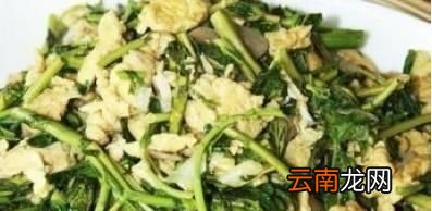 鱼腥草的叶子怎么做才好吃