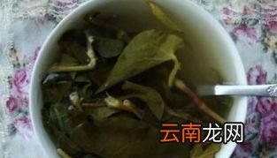 鱼腥草的叶子怎么做才好吃