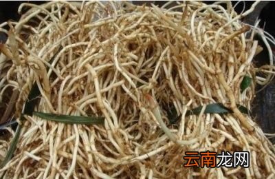 问题鱼腥草的叶子怎么做才好吃