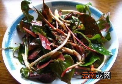 问题鱼腥草的叶子怎么做才好吃