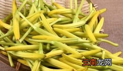 发了芽的土豆还能不能吃