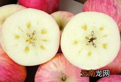 发了芽的土豆还能不能吃