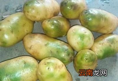 发了芽的土豆还能不能吃