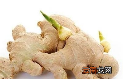 为什么发芽的土豆不能吃