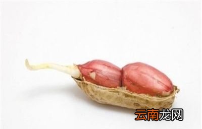 为什么发芽的土豆不能吃