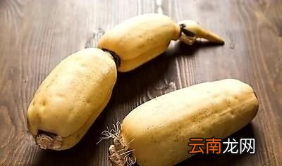 莲藕怎么煮容易熟呢今天告诉你一些方法