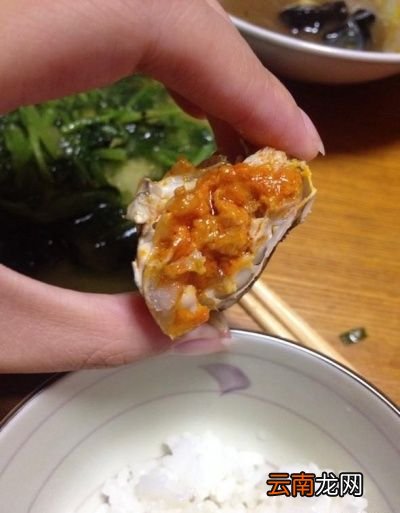 雄蟹和雌蟹的辨别方法