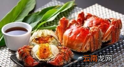雄蟹和雌蟹的辨别方法