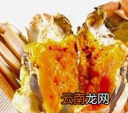 雄蟹和雌蟹的辨别方法