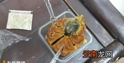 年我们一起吃过的奇葩月饼有哪些呀