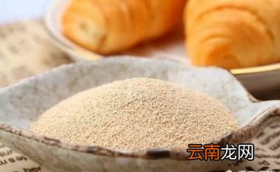 发面时必须注意下面几点