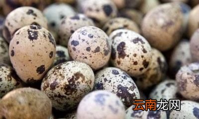 常吃鹌鹑蛋的作用