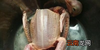 猪肚炖鸽子汤的营养功效